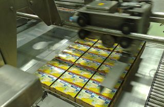 6. Absteigender Palettierer für Trays